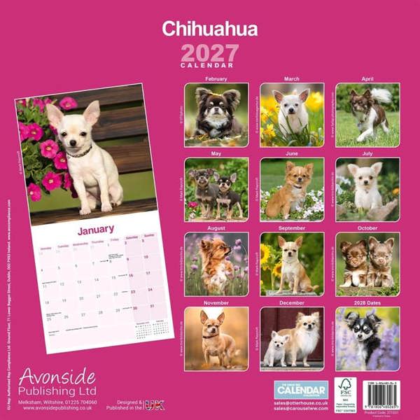 Chihuahua Calendar 2027, Wall Calendars, Month To View, Dogs, Gift