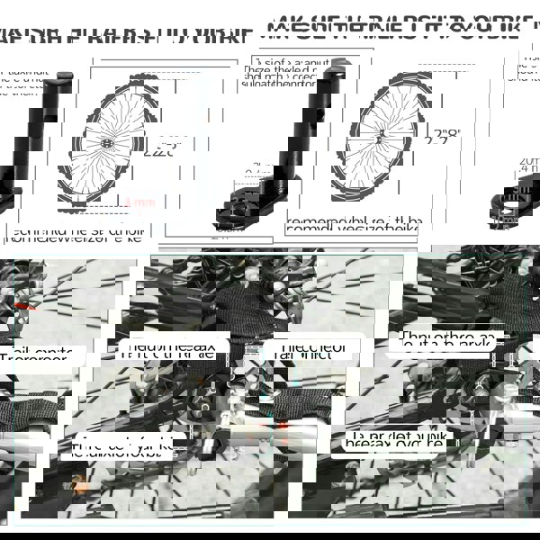 B4-0003-007