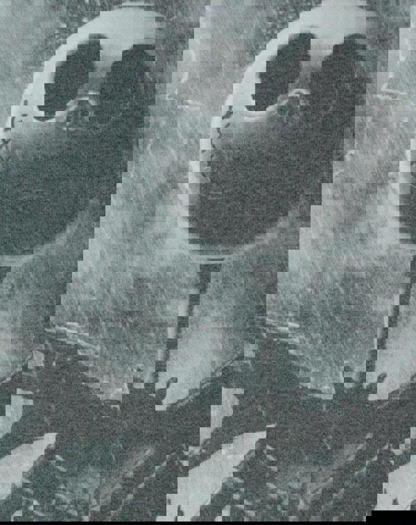 Disney The Nightmare Before Christmas Womens Black Jack Skellington Christmas Jumper