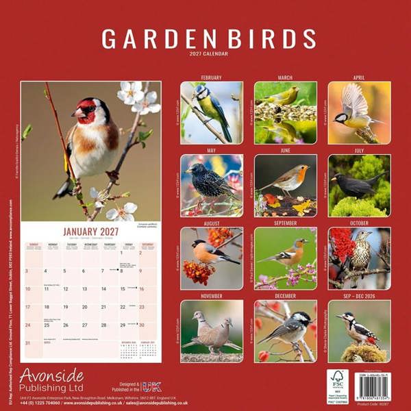 Garden Birds Calendar 2027, Wall Calendars, Month To View, Animals, Gift