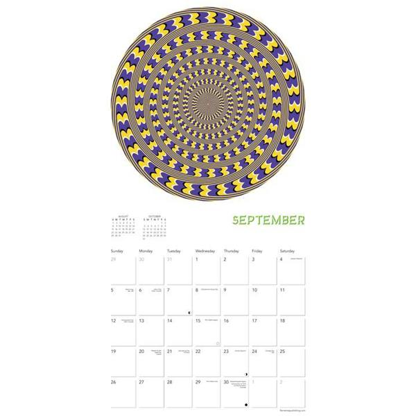 Optical Illusions Calendar 2027, Wall Calendars, Month To View, Art, Gift