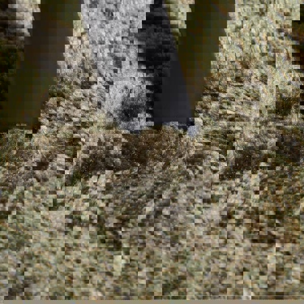 High Pile Green Rug Calida – Ultra-Soft Plain