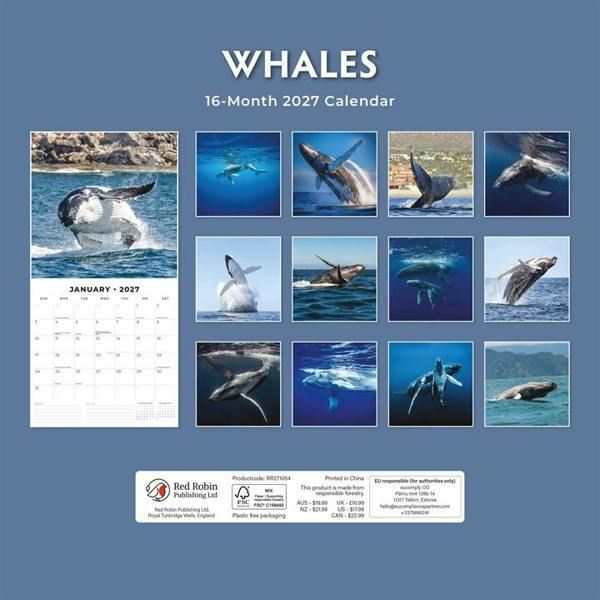 Whales Calendar 2027, Wall Calendars, Month To View, Animals, Gift