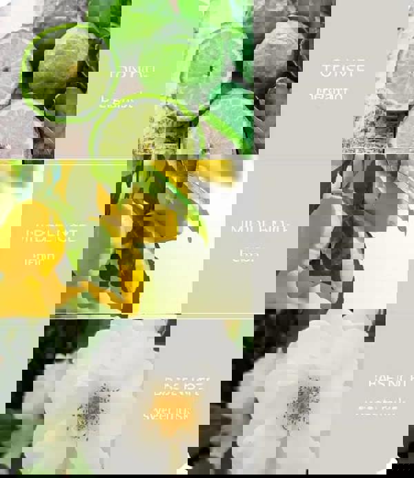 Heart & Home Guardian Angel - Essential Oil Blend