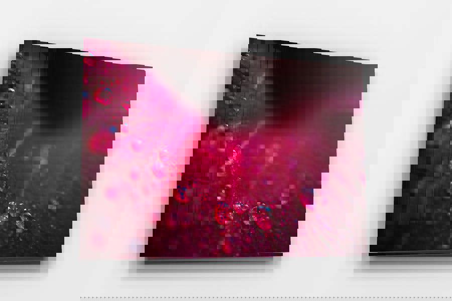 modern floral print on acrylic mount