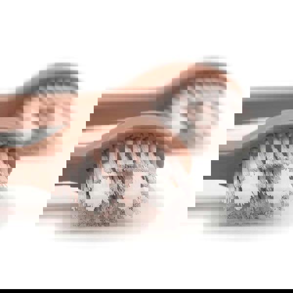 Spotlight Oral Care Sonic Head Replacements