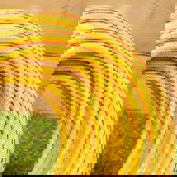 Samuel Alexander 30m Yellow Reinforced Kink Resistant Garden Patio Hose Pipe with Spray Gun Set