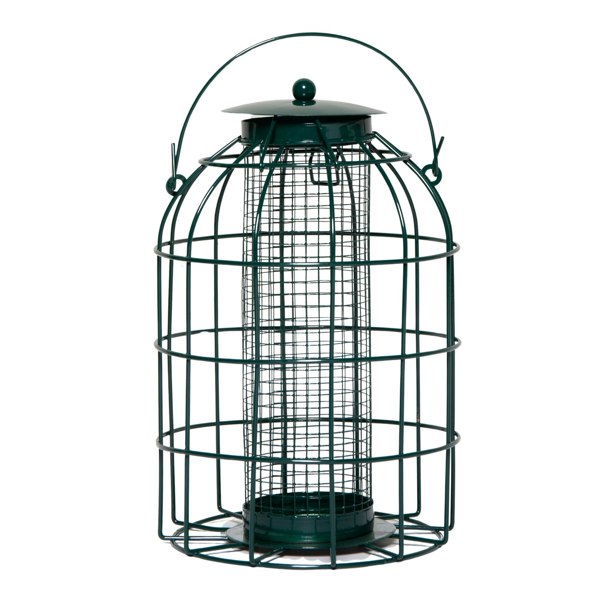 Samuel Alexander Metal Hanging Bird Nut Feeder with Squirrel Guard