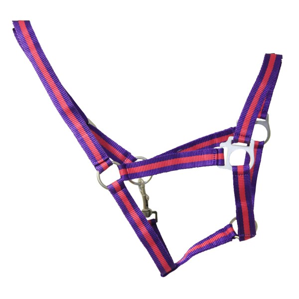 Hy Duo Head Collar - Purple/Fuchsia