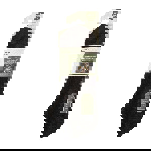 t4option1_0