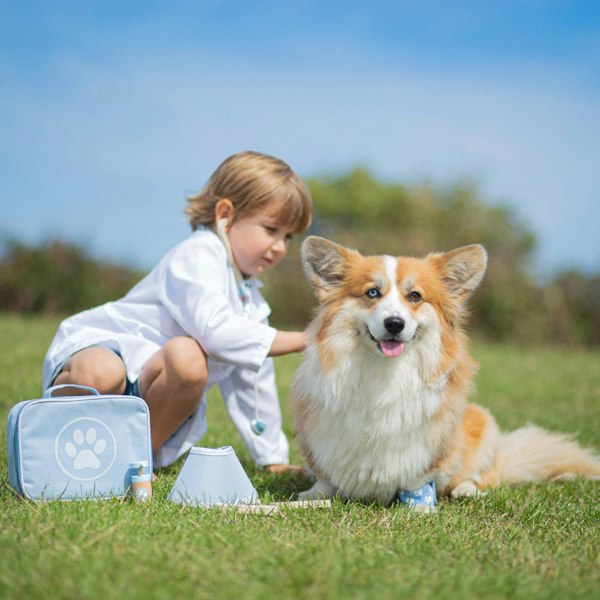 Bigjigs Toys Wooden Veterinary Set - Includes A Carry Case And 12 Play Pieces