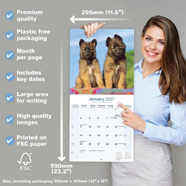 Belgian Shepherd Dog Calendar 2027, Wall Calendars, Month To View, Dogs, Gift