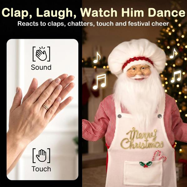 Santa Claus Christmas Decoration
