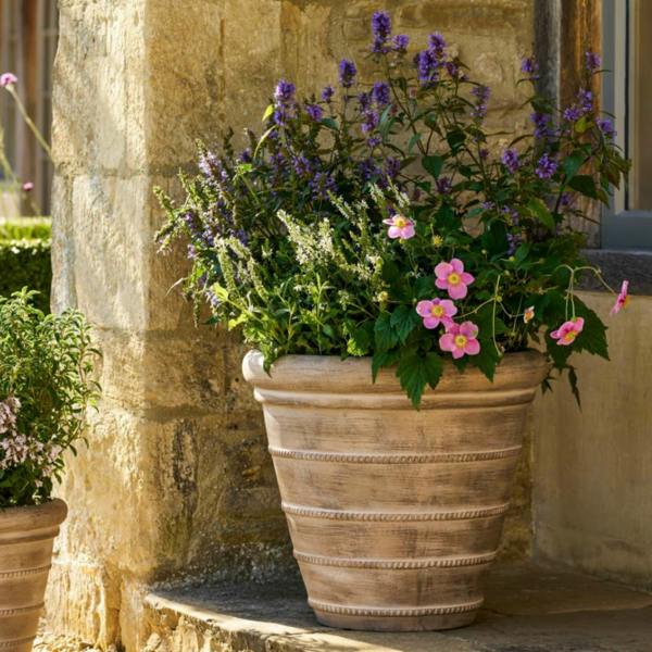 Medium 52cm Cotswold ribbed terracotta planter sitting on a stone step filled with vibrant pink anemone flowers and tall purple salvia.