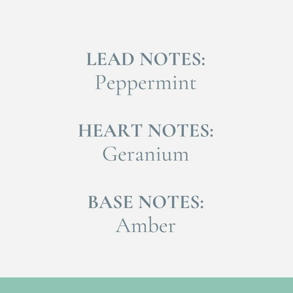 Fosse Living Wild Mint & Geranium Reed Diffuser