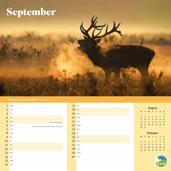 RSPB, Inspiring Nature Calendar 2027, Wall Calendars, Month To View, Animals, Gift
