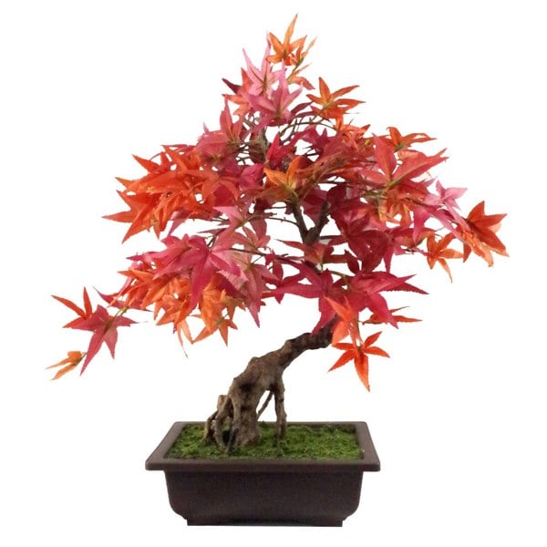 Leaf 50cm Artificial Red Maple Bonsai Tree