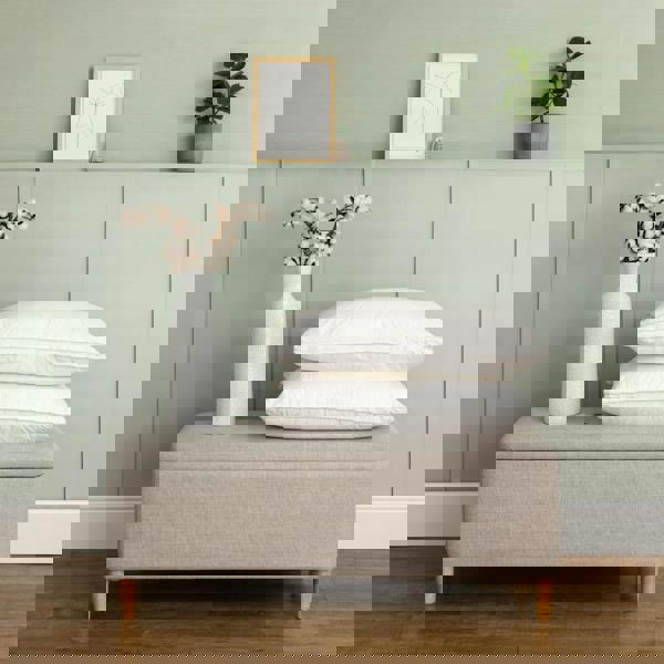 Soak&Sleep Hungarian Goose Down Pillows