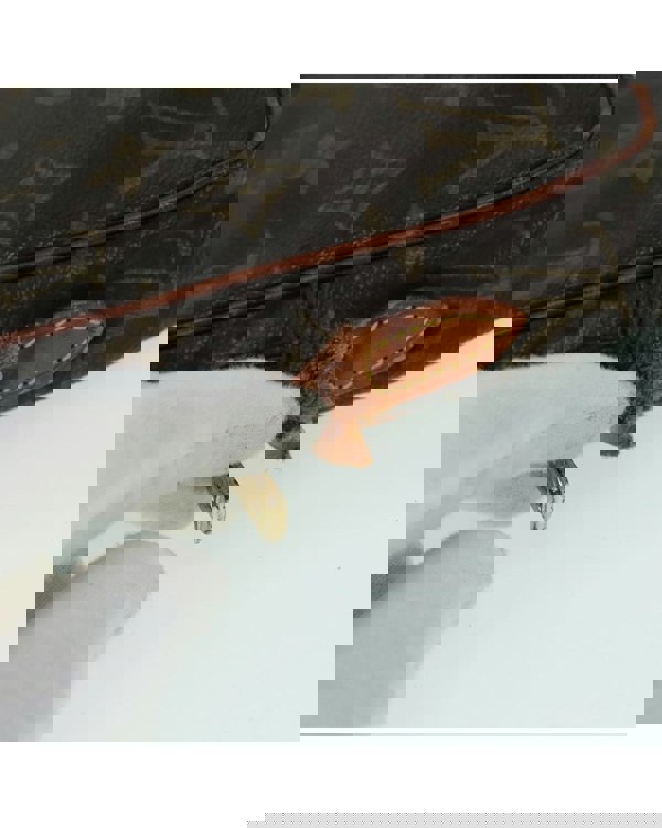 193991447.jpg
