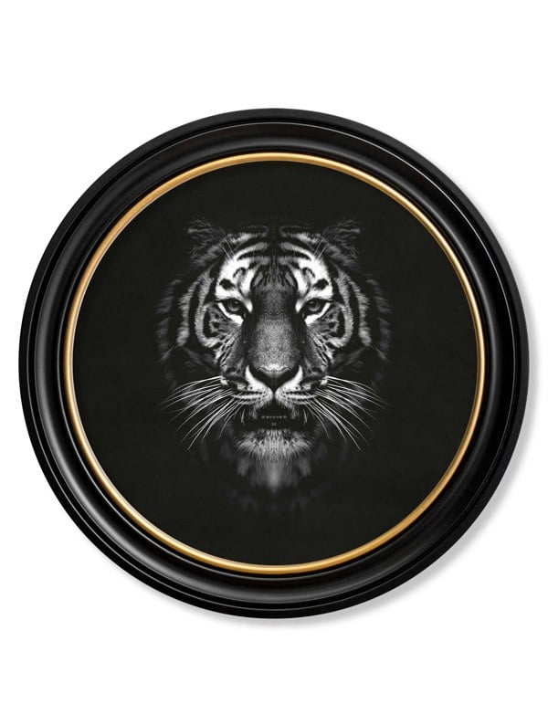 Exceptional Art Wildlife Photography - Tiger - Round Frame