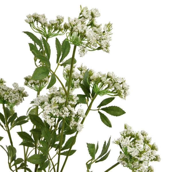 Wyld Haus Set of 3 Artificial Flowers Faux White Cow Parsley Ammi