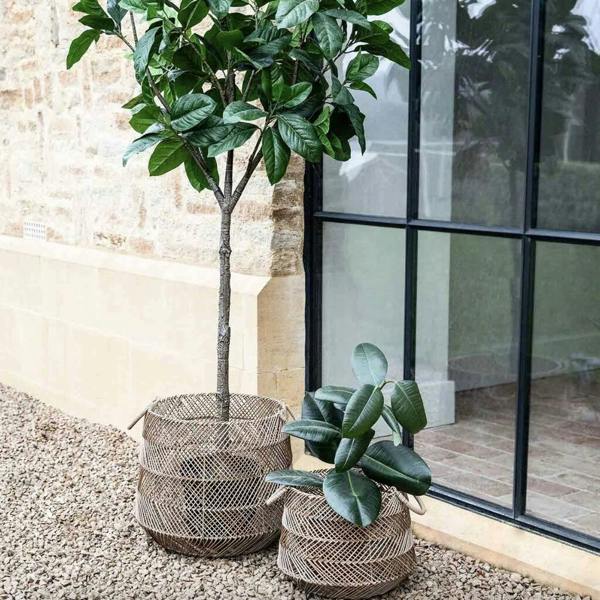 A graduated set of two brown woven rattan baskets acting as stylish outdoor planters for a tall green leafed tree and a smaller rubber plant on a gravel patio against a stone wall and large black-framed window.