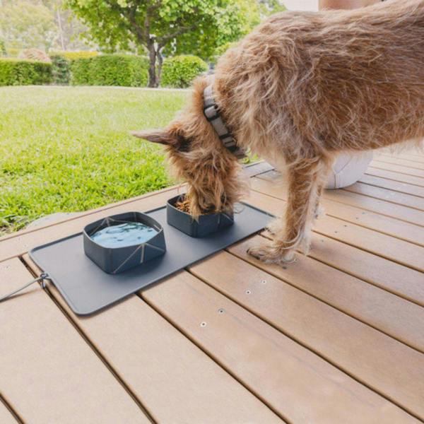 EzyDog Roll-a-Bowl 2-in-1 Silicone Dog Travel Bowl