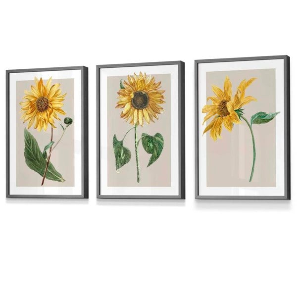 Artze Wall Art Vintage Yellow Sunflowers Set of 3 Framed Prints