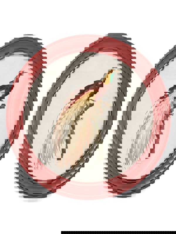 Exceptional Art c.1809 Birds of Paradise - Round Frames Red