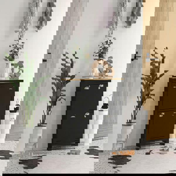 Flip-down Shoe Cabinet