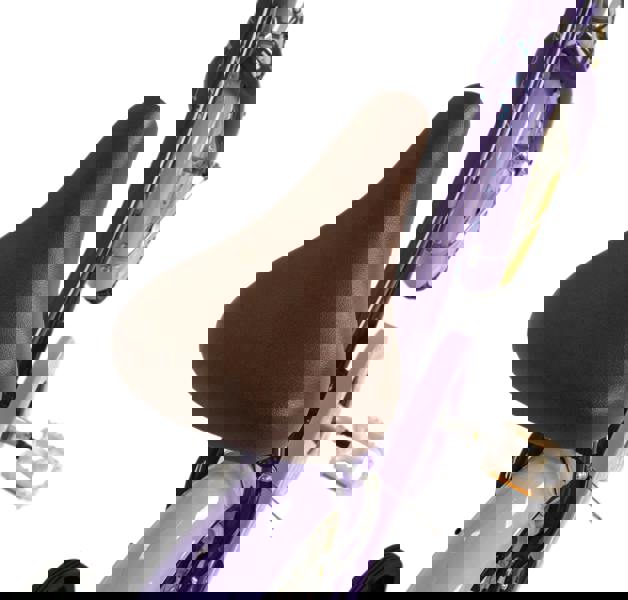 Dawes 16" Junior Bike Lil Duchess Purple