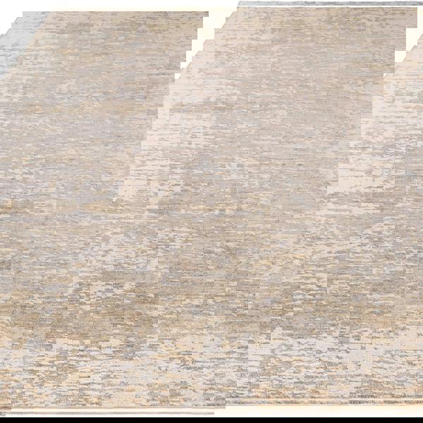 Asiatic Anders AN04 Distressed Rug