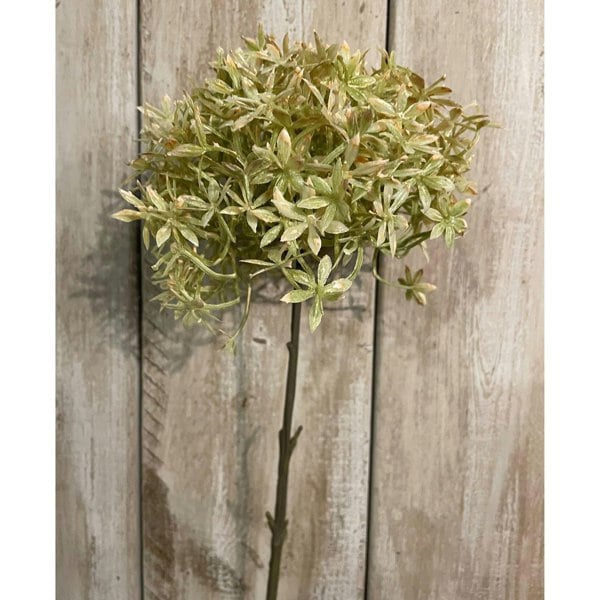 Hill Interiors Allium Stem Artificial Flower - Green/Beige
