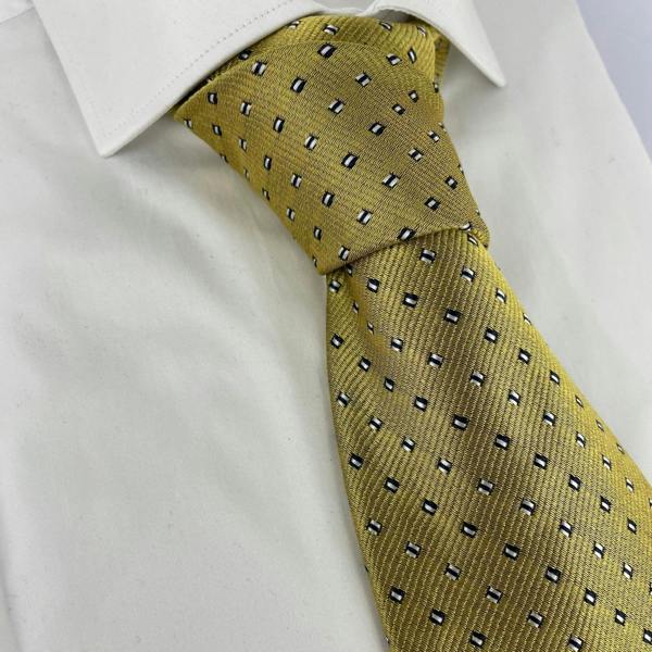 Silk Geometric Neck-Tie - Premium Men's Patterned Shirt by Claudio Lugli | Bold Design, Tailored Fit, Best Printed Shirts
