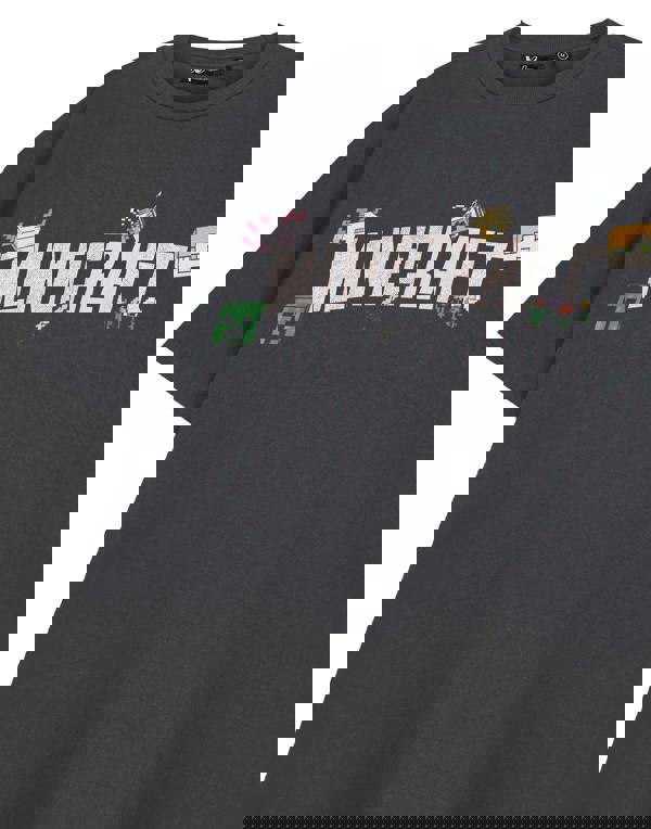 Minecraft Womens Grey Logo Short Sleeved T-Shirt