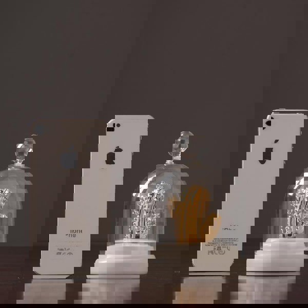 Decoration: A Set Of Four Cactus-Weilai Concept-Weilai Concept