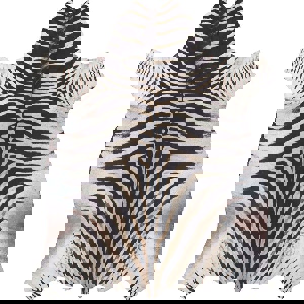 Premium Faux Hides in Grey & Brown |Luxurious Rugs |The Rugs