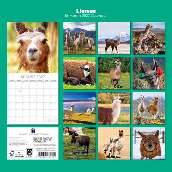 Llamas Calendar 2027, Wall Calendars, Month To View, Humour, Gift