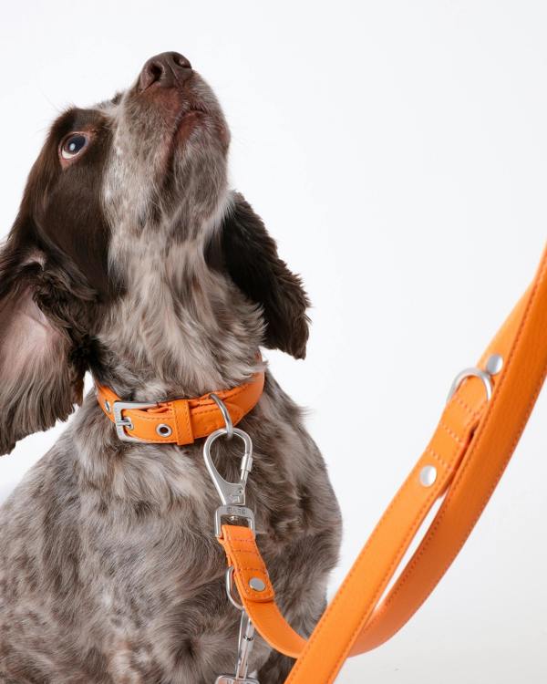 Barc London Mandarin Orange Double Ended Lead