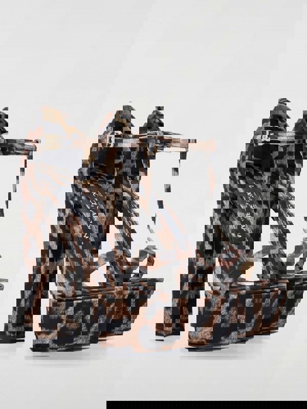207247282.jpg