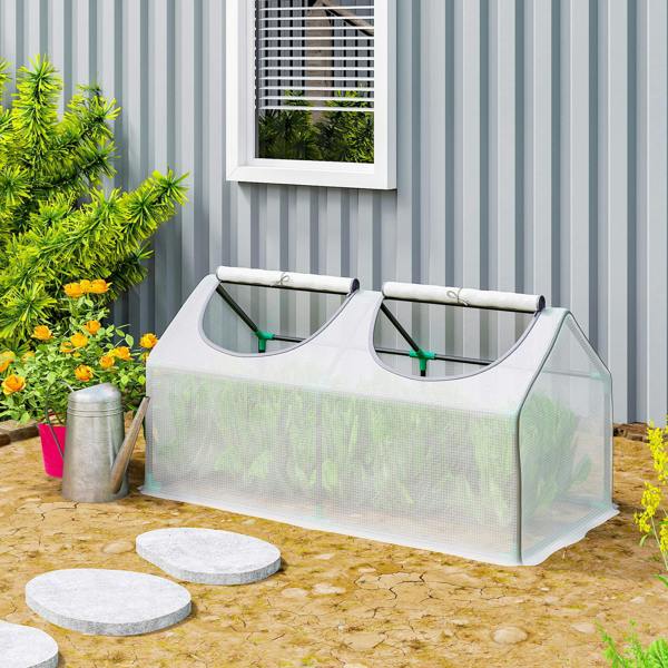 Mini Greenhouse