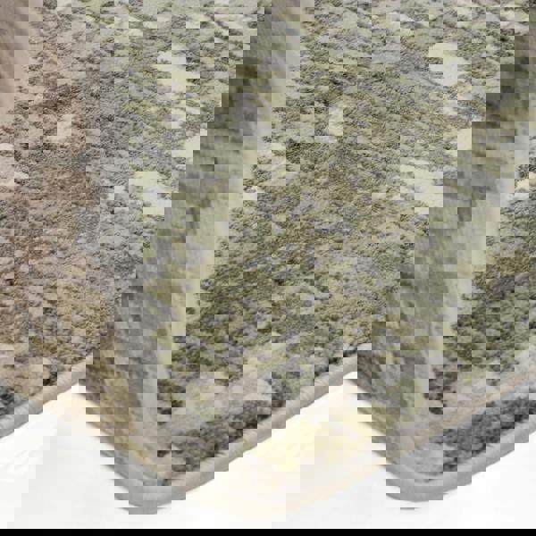 Asiatic Stellar ST10 Distressed Green Rug