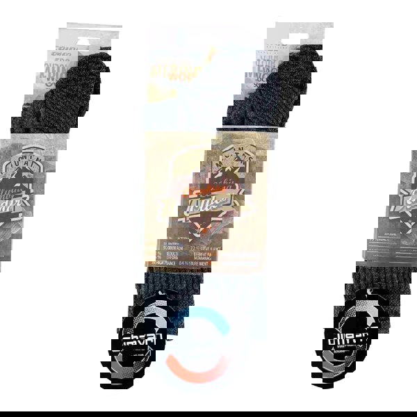 t4option1_2