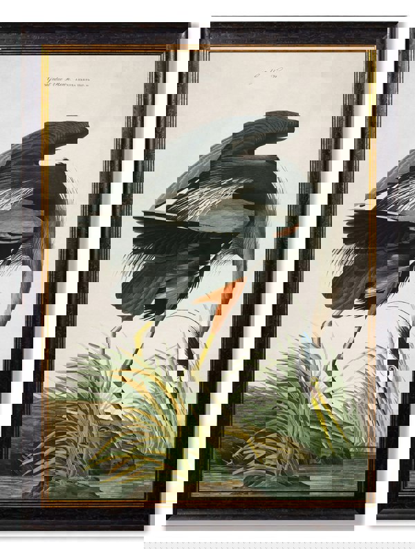 Exceptional Art c.1838 Audubon's Great Blue Heron
