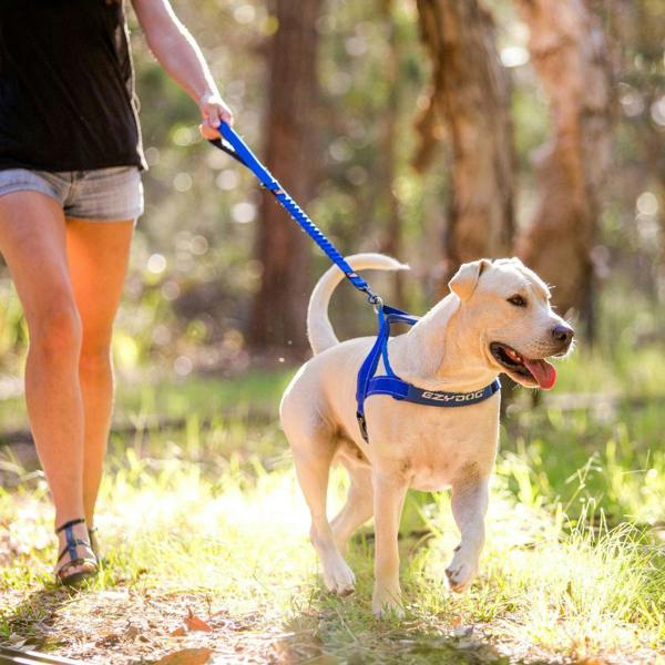 EzyDog Quick Fit Dog Harness in Blue