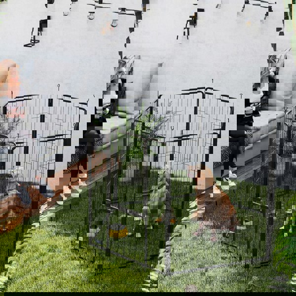 D06-256V02BK