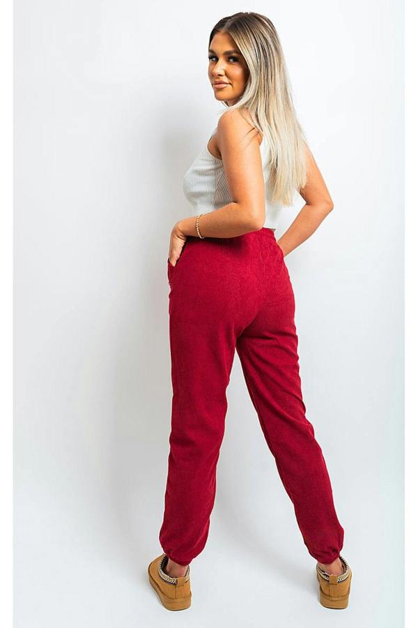 Noemi High Waisted Drawstring Trouser With Pockets - Wine