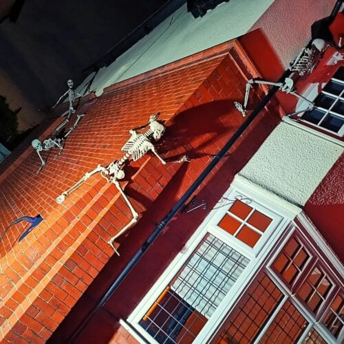 Samuel Alexander Pack of 3 5ft (150cm) Posable Full Body Halloween LED Skeleton Decoration with Movable Joints and LED Eyes