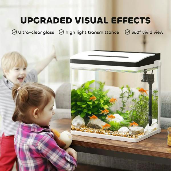 Glass aquarium tank with LED light and internal filter, housing small tropical fish