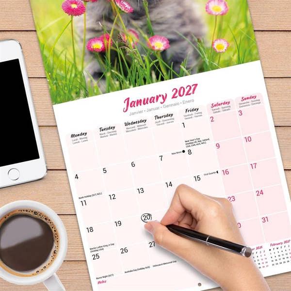 Kittens Calendar 2027, Wall Calendars, Month To View, Cats, Gift